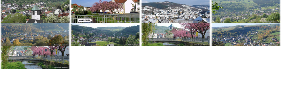 Ansichten von Dalhausen
