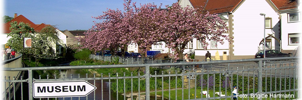 Aussicht auf Dalhausen