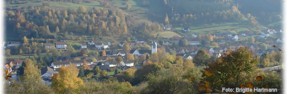 Aussicht auf Dalhausen