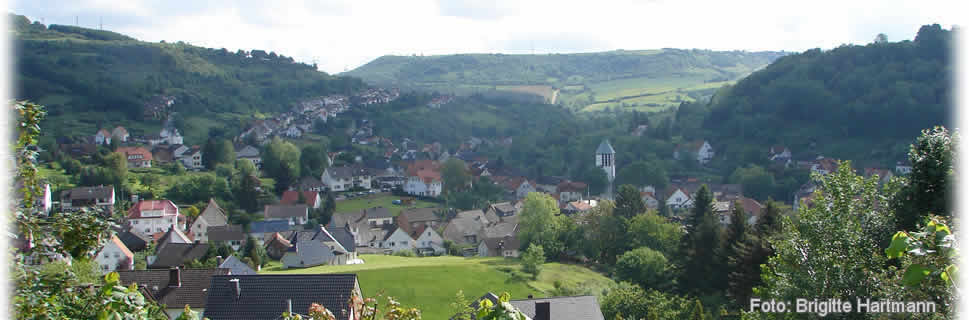 Aussicht auf Dalhausen