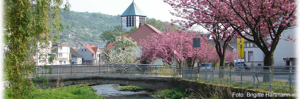 Aussicht auf Dalhausen