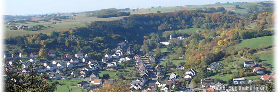 Aussicht auf Dalhausen