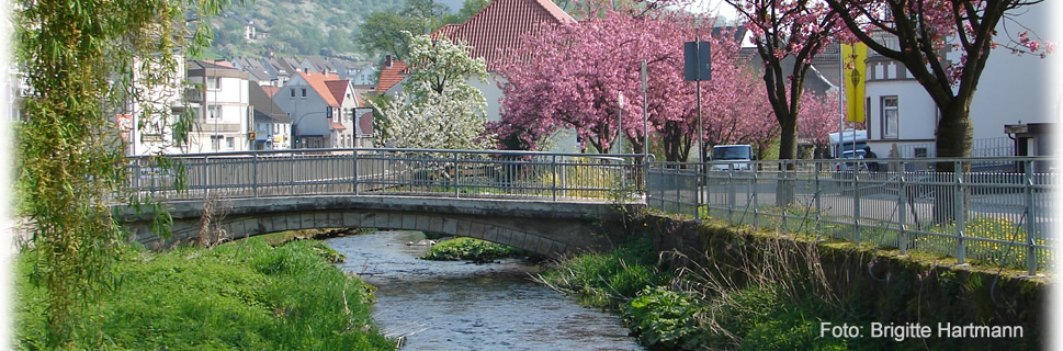 Aussicht auf Dalhausen